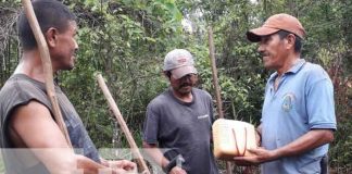 nicaragua, bonos, san carlos,