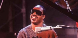 musica, salud, stevie wonderm discapacidad, estados unidos,