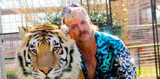 estados unidos, parque joe exotic, felinos, maltrato animal,