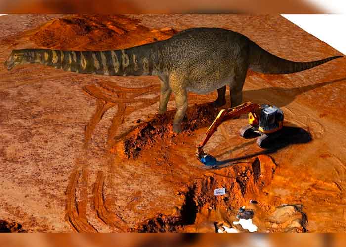 ciencia, australia, descubrimiento, dinosaurio, caracteristicas