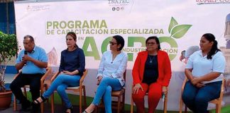 nicaragua, inatec, mefcca, programa, agroindustria