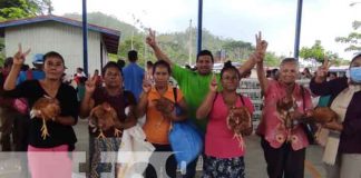 nicaragua, caribe norte, bonos de aves, triangulo minero,