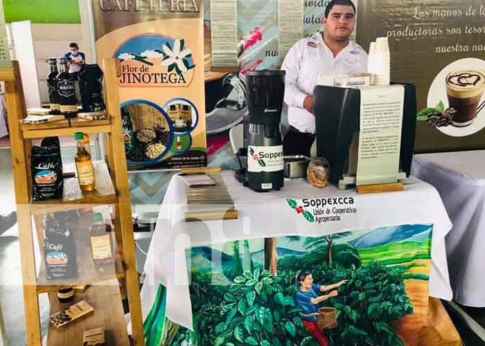 nicaragua, cafe, jinotega, produccion, expo feria,
