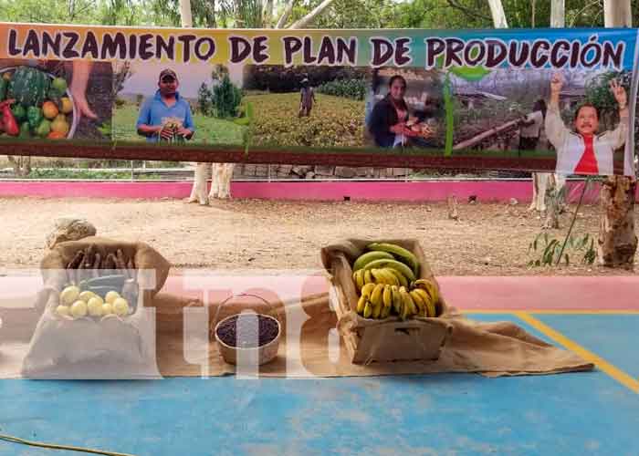 Nicaragua, Ocotal,  ciclo agrícola 2021, productores,  