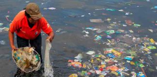 chile, plasticos, contaminacion, mares,