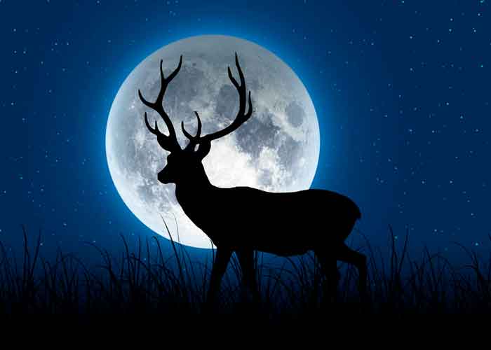 ciencia, fenomenos astronomicos, luna llena ciervo, nativos, visualizacion 