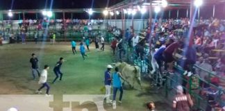 Montas de toros en Nandaime