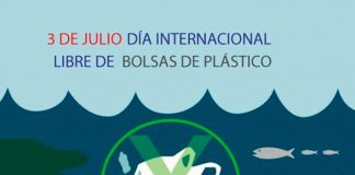 bolsas, recicla, dia internacional, plástico,