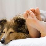 Foto: En tiempos de coronavirus es mejor no dormir con tus mascotas / Referencia