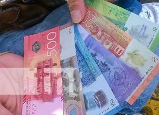 Fajo con distintos billetes del dinero en Nicaragua