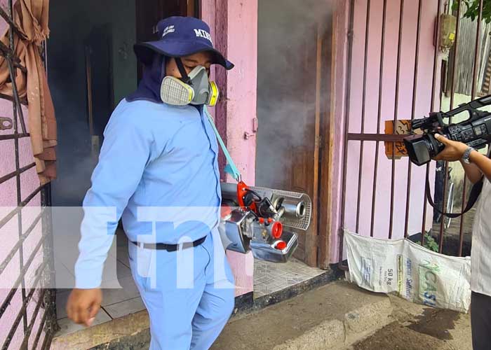 Labores de fumigación en barrios de Managua
