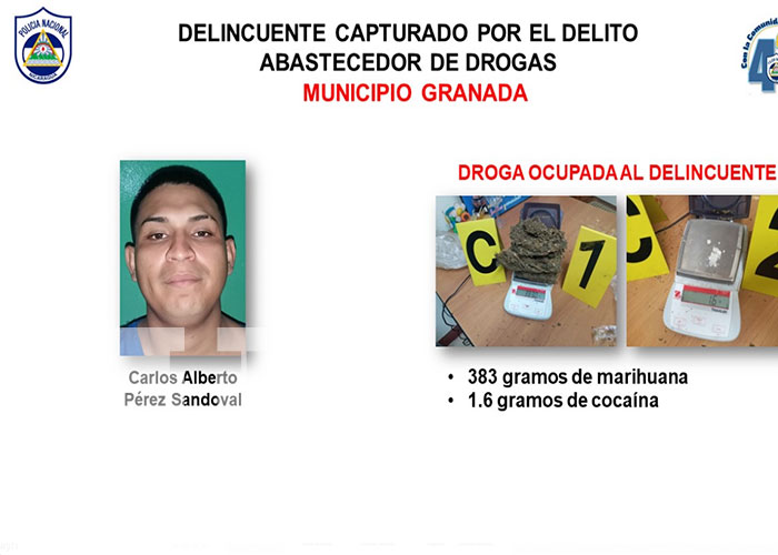 En Granada se logró la detención de nueve sujetos por cometer delitos de alta peligrosidad
