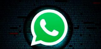 WhatsApp, conexión, imágenes, videos,