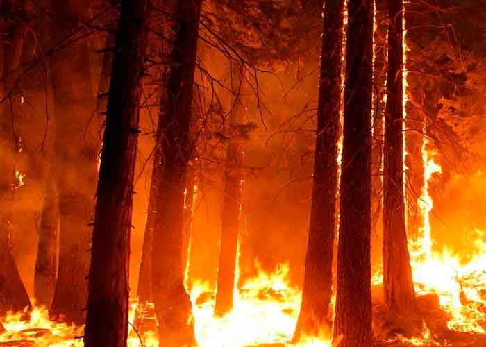 Debido a las altas temperaturas, las llamas grandes y pequeñas, azotan varias hectáreas del continente europeo llegando casi hasta Rusia