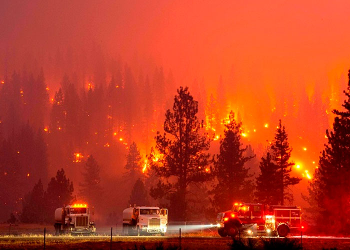  Debido a las altas temperaturas, las llamas grandes y pequeñas, azotan varias hectáreas del continente europeo llegando casi hasta Rusia