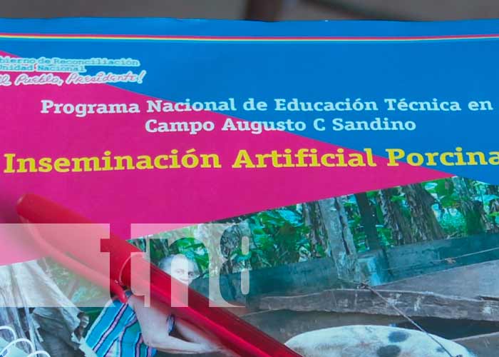 Nicaragua, nandaime, productores, genética porcina