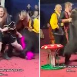 Impactante ataque de un oso en un circo de Rusia se vuelve viral