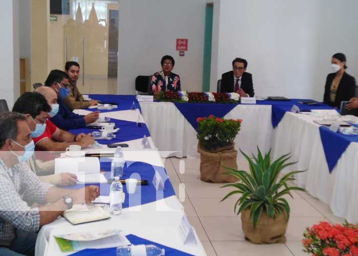 Reunión del INTA con representantes de Corea para proyectos sobre arroz