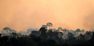 Un incendio calcinó un área de la selva amazónica cerca del río Jamari en el estado de Rondonia, el 11 de septiembre de 2019 / Bruno Kelly / Reuters