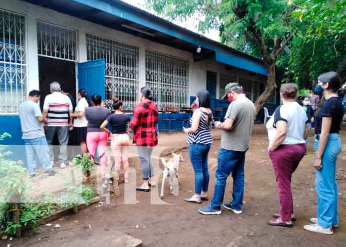 Personas de la tercera edad son prioridad en verificación en Nicaragua