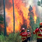 Bomberos combaten importante incendio en el sur de Portugal