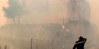argelia, incendios, victimas, afectaciones, gobierno