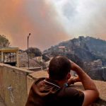 argelia, incendios, fallecidos, afectaciones, temperaturas altas