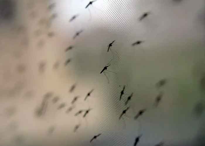 Estudio sobre el parasito de la malaria y sus consecuencias 