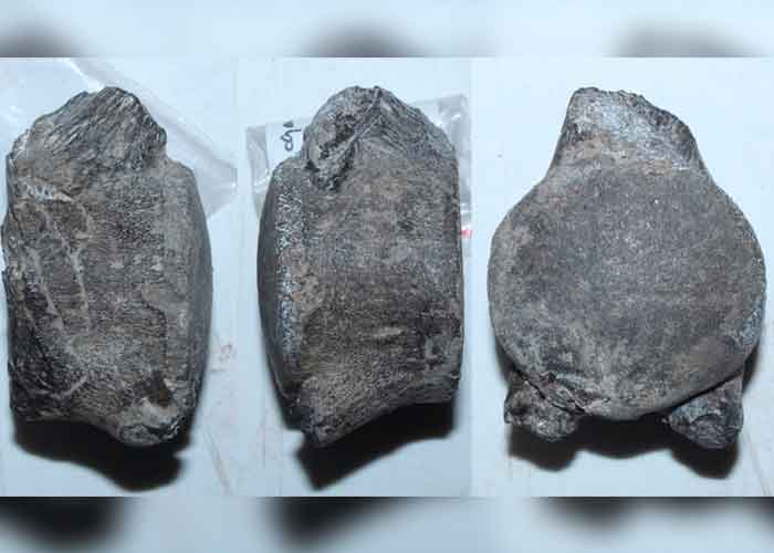 La pieza fue encontrada en un tipo de roca conocida como "tempestita"