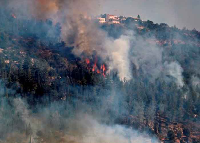 Israel y otros países mediterráneos se han visto afectados por letales incendios 