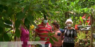 Conozca los frutos de la escuela de campo en el Distrito III, Managua