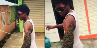 Un joven sorprende al trasladar una colmena abejas en su brazo (VIDEO)