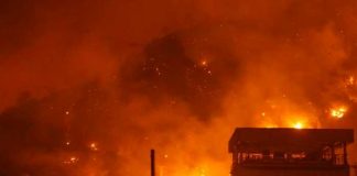 Foto: Subió a 69 el número de muertos por incendios en Argelia / AFP