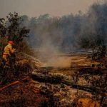 Bombero trabaja para sofocar un incendio forestal