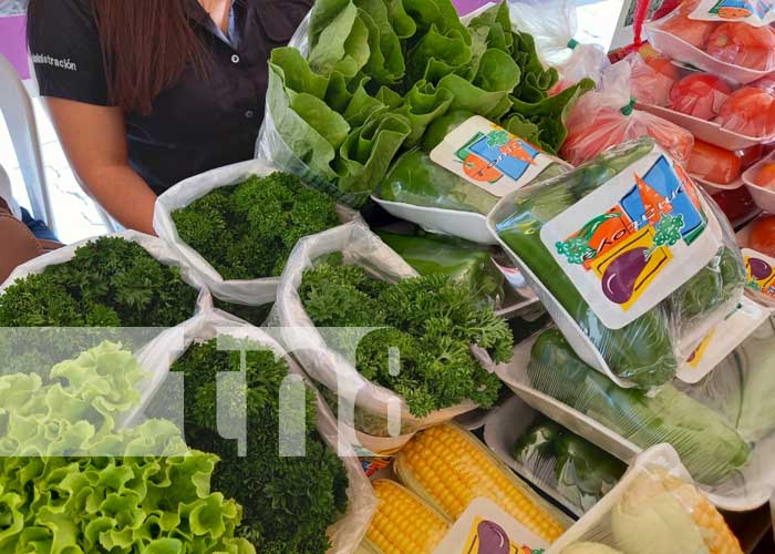 Feria sobre hortalizas en Jinotega 