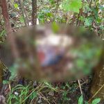 Hallan a mujer decapitada en el norte de Honduras