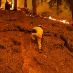 Foto: Dixie se convierte en el mayor incendio forestal activo en EE.UU. / Reuters
