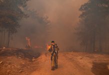 Un bomberos en los incendios en Turquía / FOTO / AFP