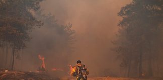 Un bomberos en los incendios en Turquía / FOTO / AFP