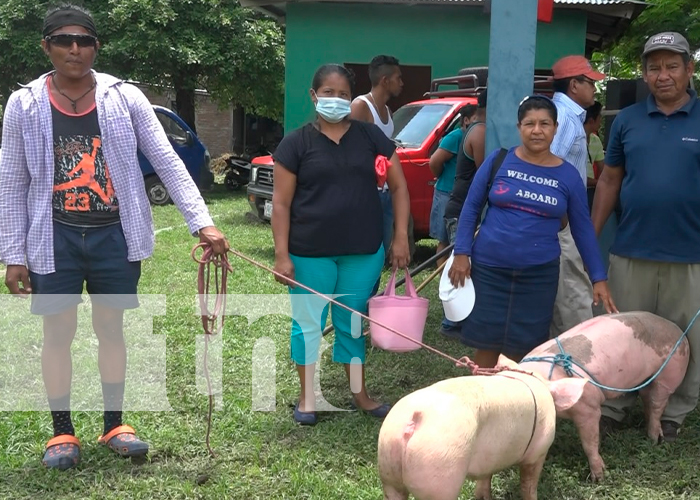INTA entrega bono porcino a familias de Ometepe