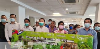 Nicaragua fortalece proyecto para tratamiento de producción de plátano