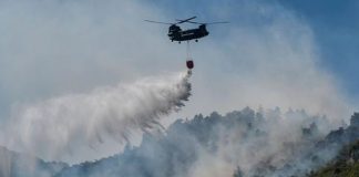 El fuerte y rápido actuar de las autoridades no cesa contra incendios en Europa