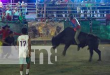 Montas de toros en Nicaragua