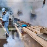 Lucha antiepidémica en Managua con fumigación y abatización