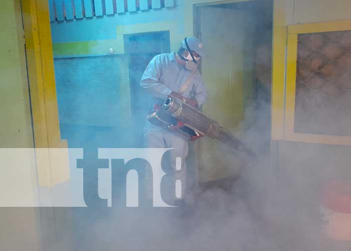 Lucha antiepidémica en Managua con fumigación y abatización