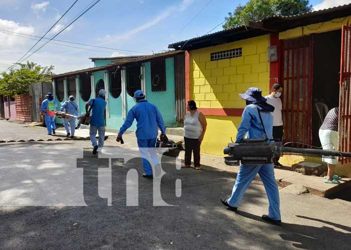 Fumigación contra los zancudos en barrios de Managua