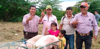 El Sistema de Producción realizó la entrega de Bonos de Cerdas en Matagalpa