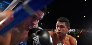 román, gonzález, boxeo, chocolatito,