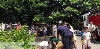 Foto: Rescate de un anciano que cayó a un cauce de Managua / TN8