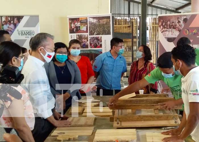 Lanzan nuevo curso de industrialización del bambú en Nicaragua